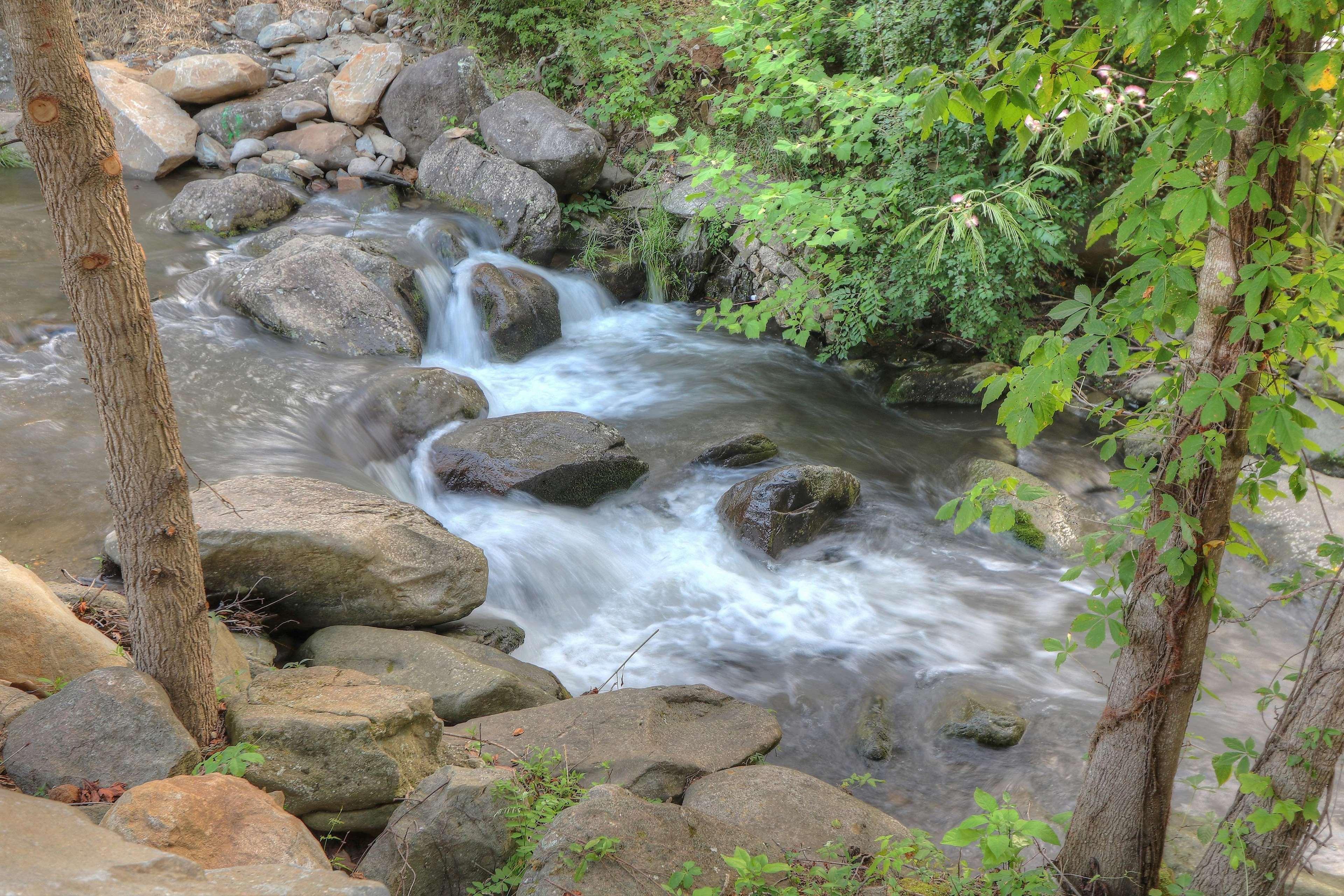 Hampton Inn Gatlinburg Historic Nature Trail, Tn Εξωτερικό φωτογραφία